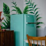 blue refrigerator beside green-leafed plant